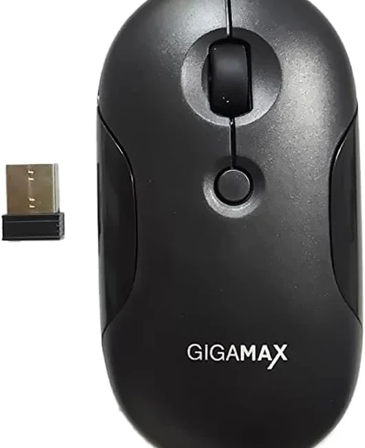 GIGA MAX WIRELESS MOUSE G-1200