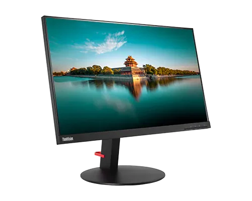 Lenovo ThinkVision T24i 24" Full HD IPS  1920 x 1080