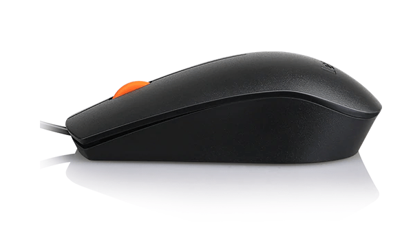 LENOVO 300 Essential mouse USB - black