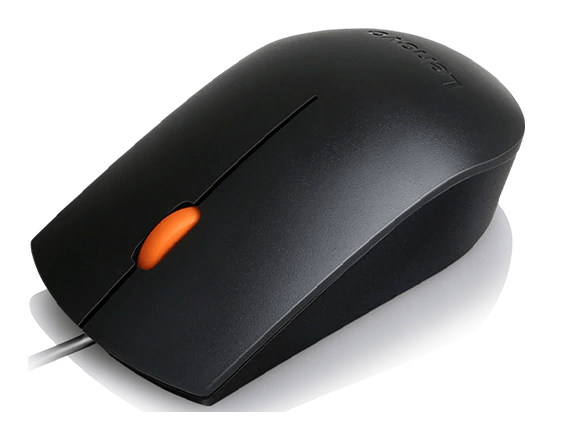 LENOVO 300 Essential mouse USB - black