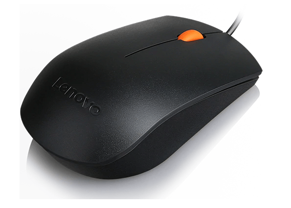 LENOVO 300 Essential mouse USB - black