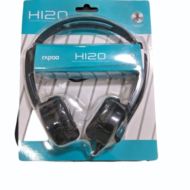 Rapoo H120 USB Black Wired Stereo headset