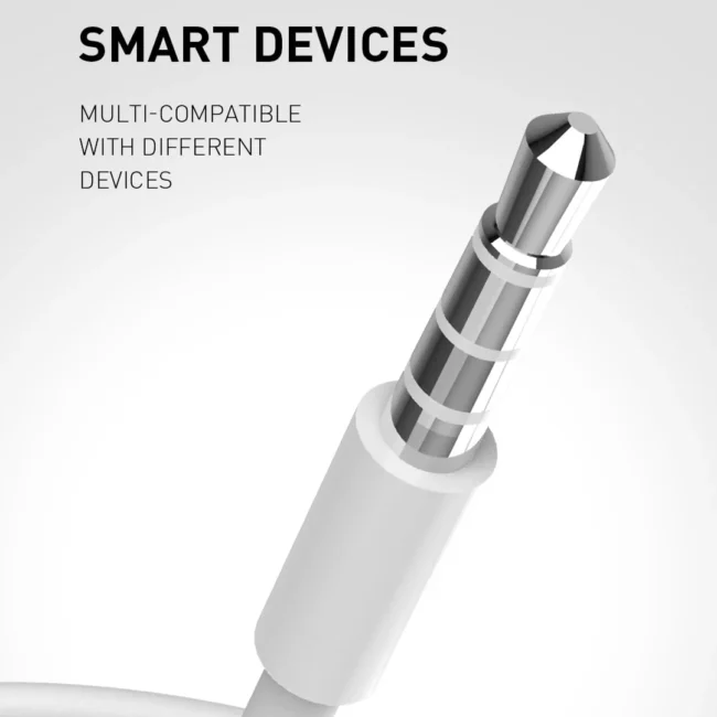 Recci Aux Wired Earphone Rep-L07