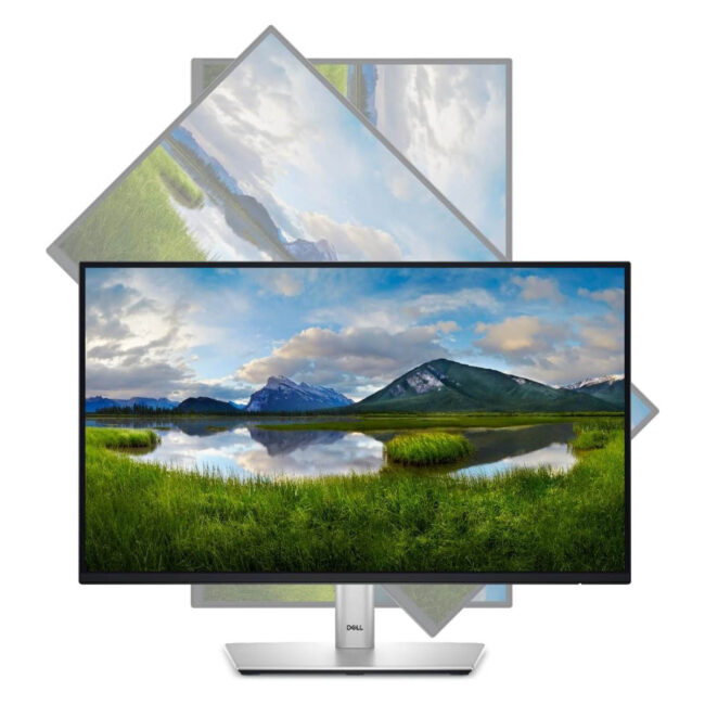 Dell 24 Monitor - P2422H - Full HD 1080p, IPS Technology, ComfortView Plus Technology