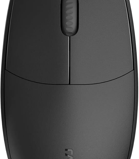 Rapoo N100C USB‑C Wired Optical Mouse – Ambidextrous, 1000 DPI