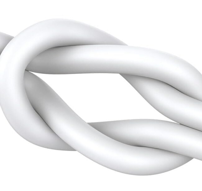 Joyroom JR-EC06 Type-C Wired Earphones – Hi-Fi Sound, Built-in Microphone, In-Line Control, Noise-Isolating Design